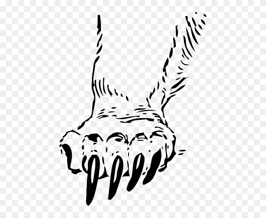 Cartoon Cat, Outline, Hand, Drawing, Sketch, Print, - Paw Clipart Black And White - Png Download