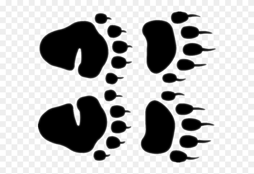 Bear Paw Clipart Black And White - Png Download