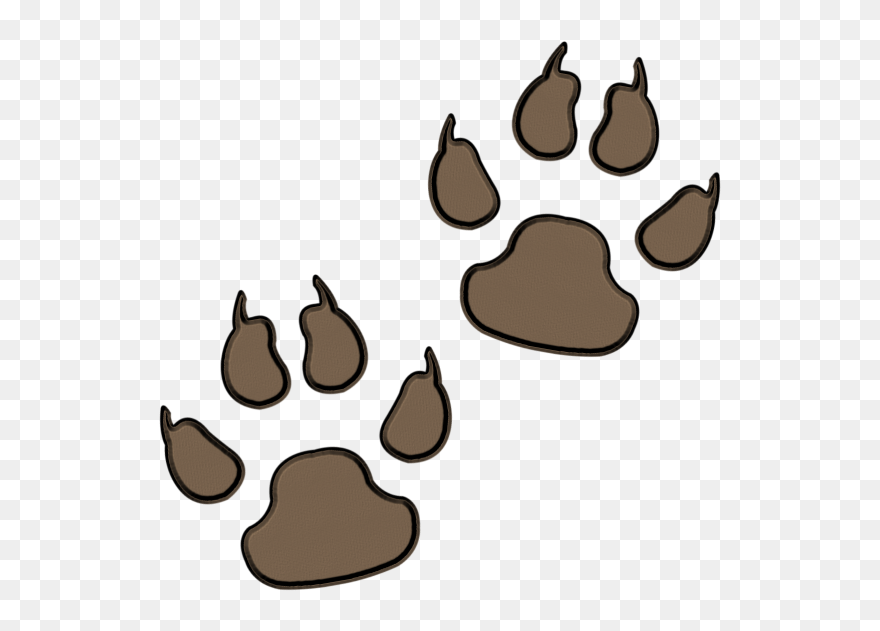 Dog Bear Paw - Paw Prints White Background Clipart