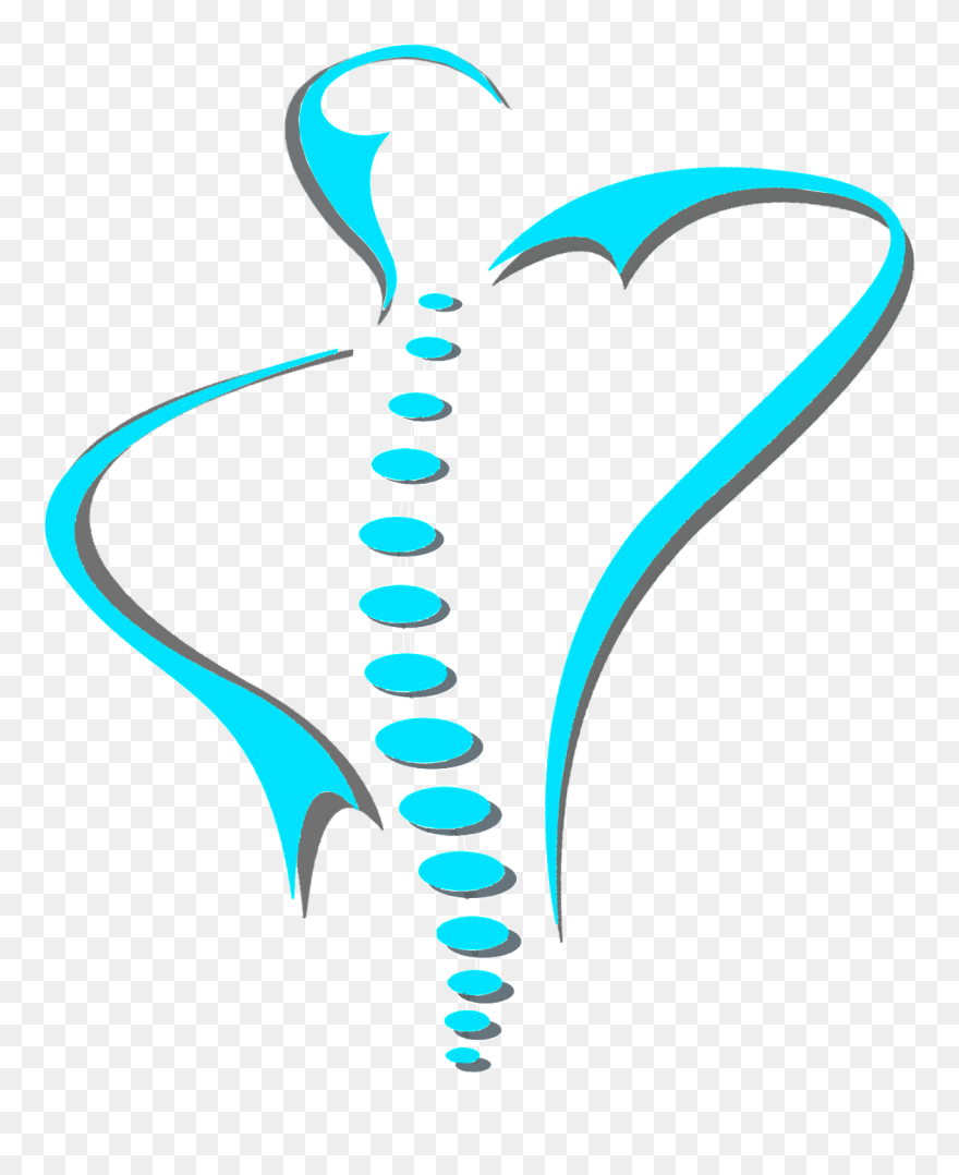 Png Spine Art - Chiropractic Clip Art Spine Transparent Png