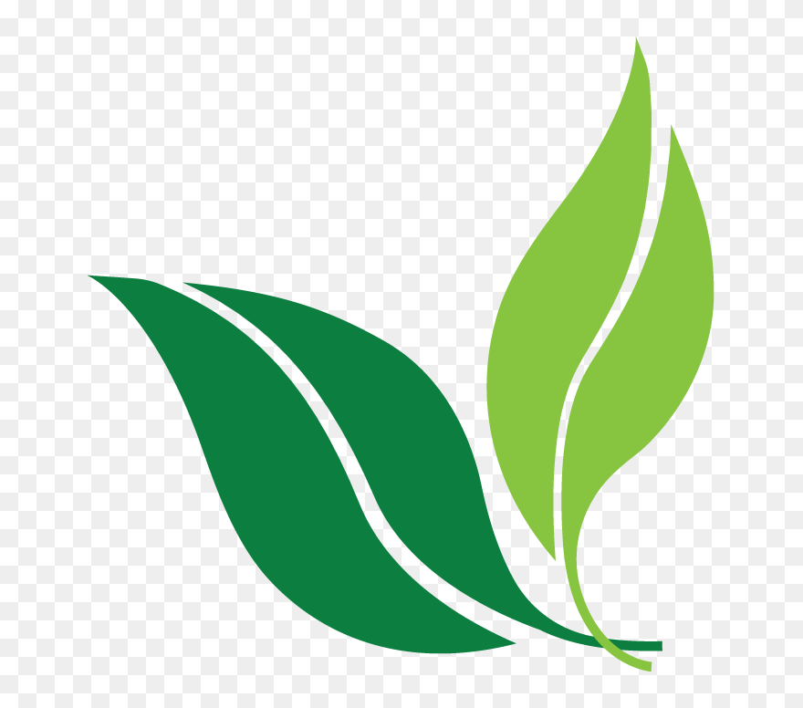 List Style Image Png Clipart