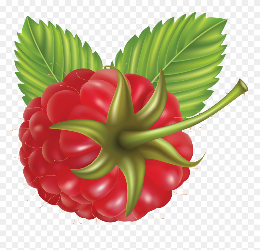 Rraspberry Png Image - Blackberry Cartoon Png Clipart