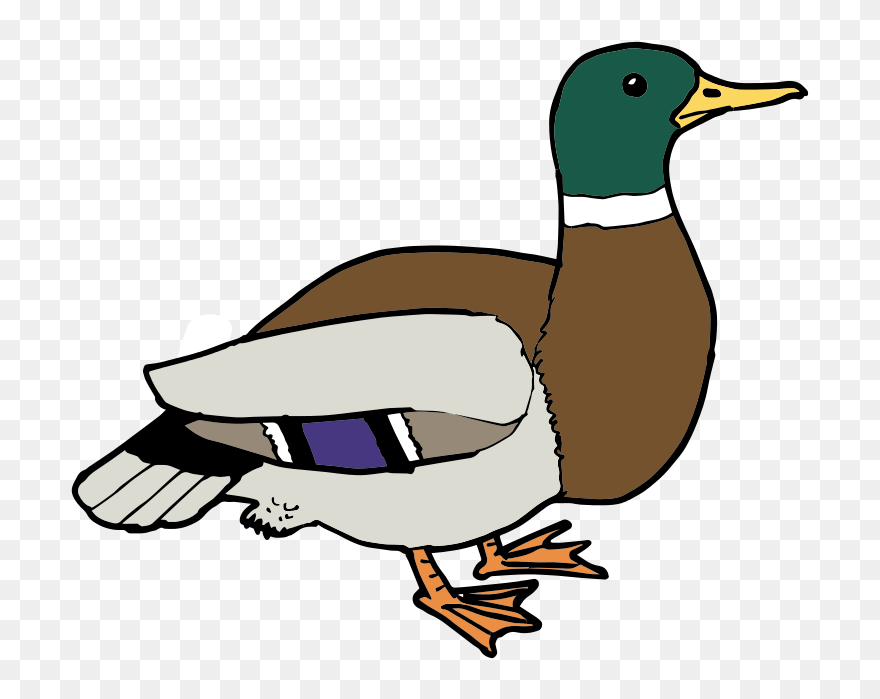 Free Duck Clipart At Getdrawings - Free Clip Art Duck - Png Download