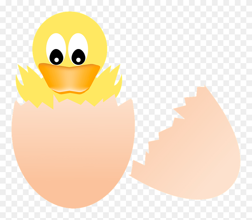 Baby Duck Hatching Clipart - Cartoon - Png Download