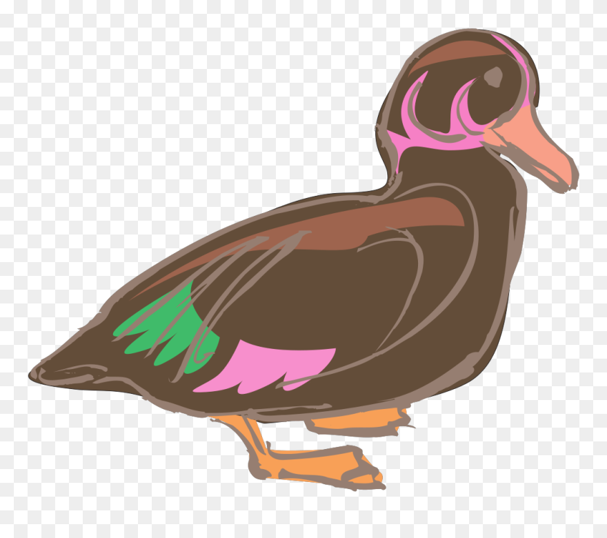 Duck Clipart