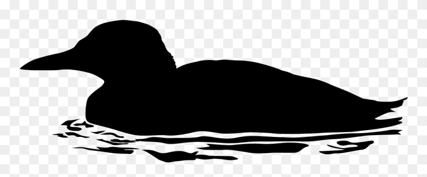 Dont Feed The Ducks Clipart Png Black And White Image - Guillemot Silhouette Transparent Png