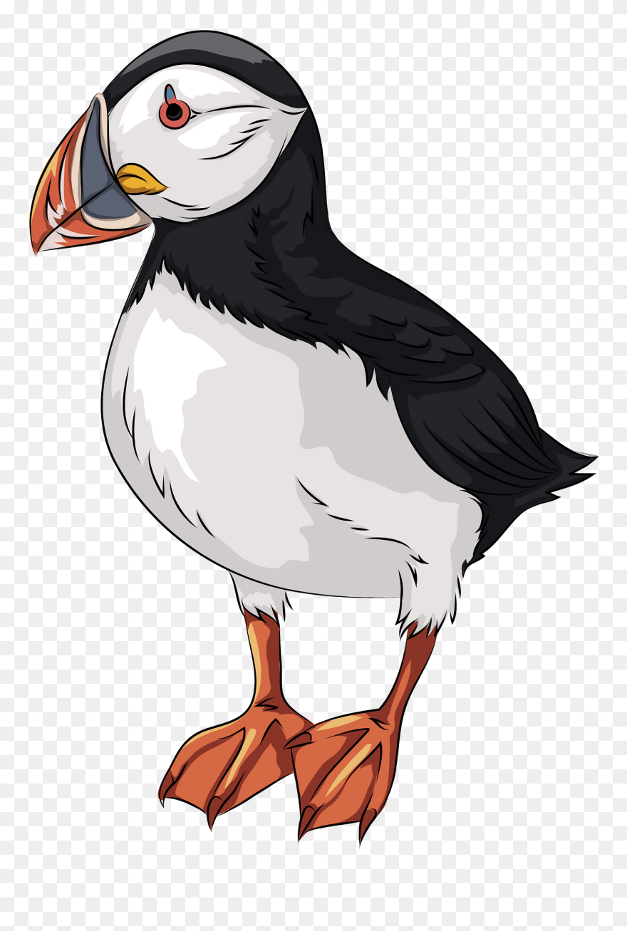 Atlantic Puffin Clipart - Transparent Puffin Clipart - Png Download