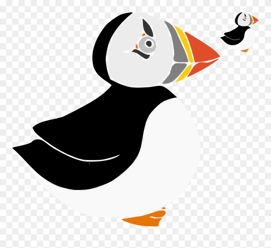 Puffin Clipart Transparent - Cartoon - Png Download