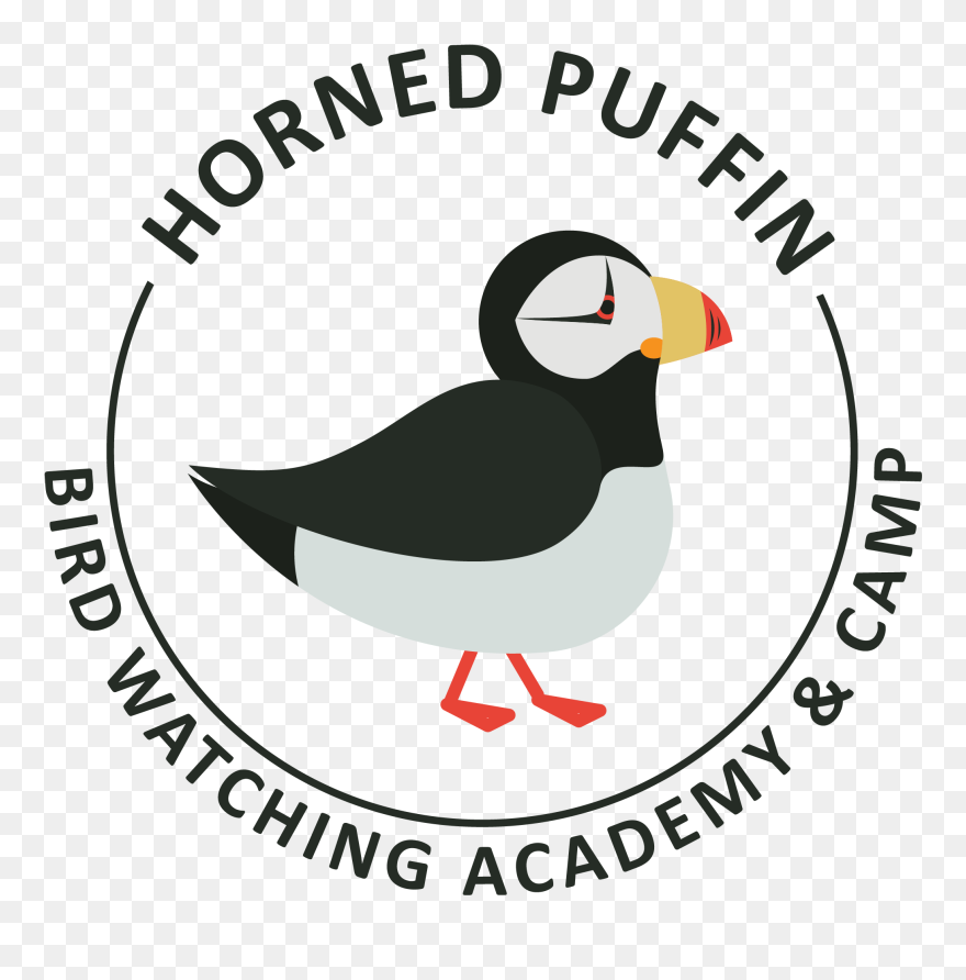 Nafta Clipart , Png Download - Nilüfer Belediye Spor Transparent Png