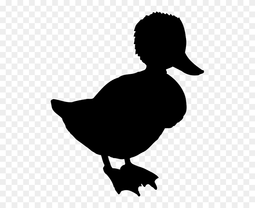 Clip Art Silhouette Vector Graphics Atlantic Puffin - Duck - Png Download