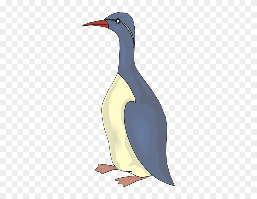 Guillemot Png Clip Art - Duck Transparent Png