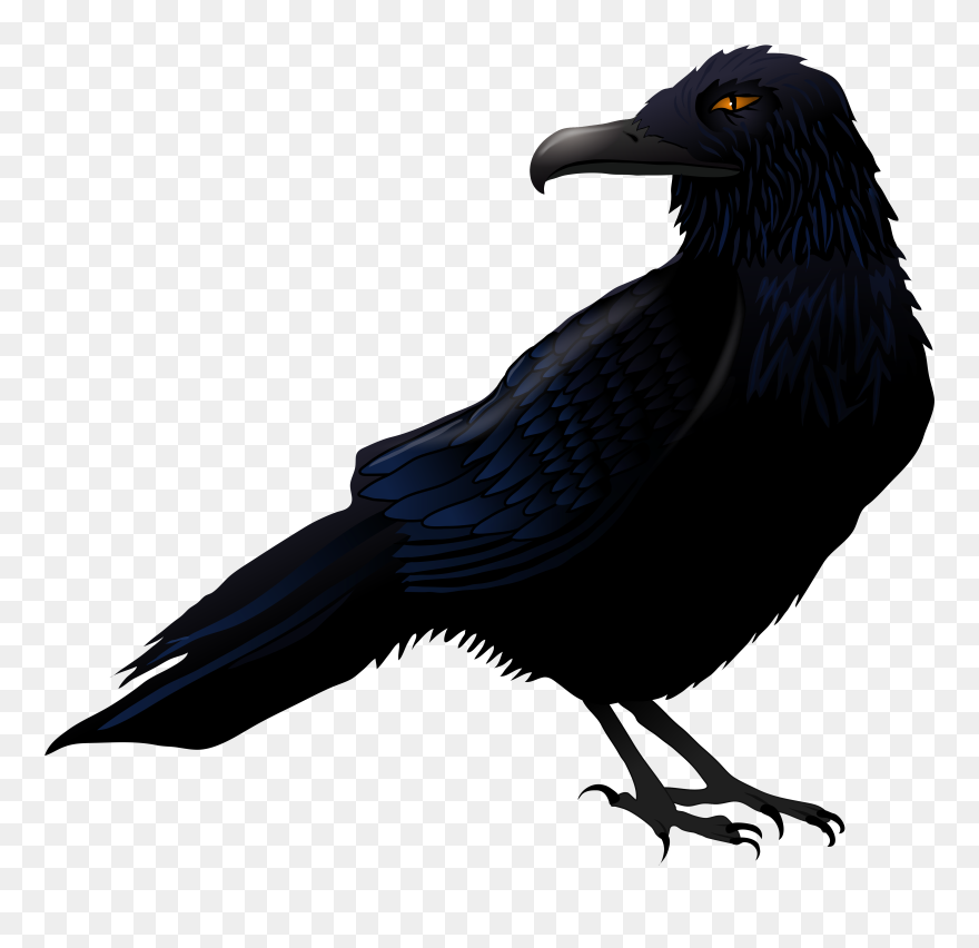 Halloween Raven Clip Art Clipart Free Download - Raven Png Transparent Png