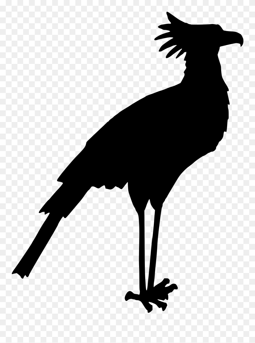 Secretary Drawing Phone Clipart - Secretary Bird Silhouette - Png Download
