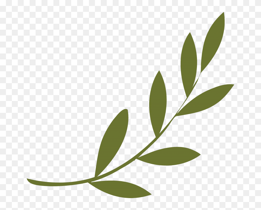 Olive Branch Peace Symbols Olive Wreath - Olive Branch Clipart