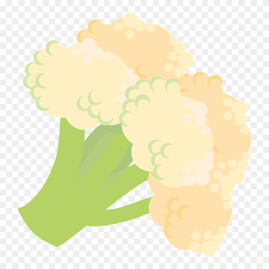 Cauliflower Vegetable Clipart - Illustration - Png Download