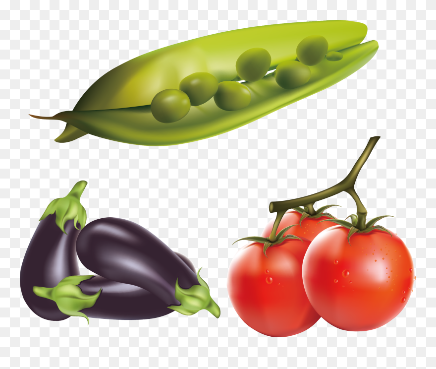 Transparent Tomato Clipart Png - Png Free Vector Tomato
