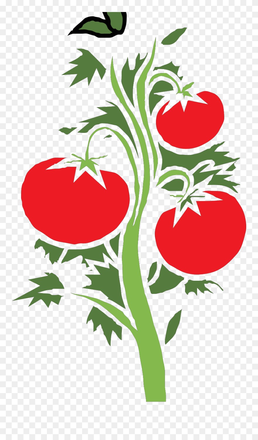 Simple Tomato Plant Clipart - Png Download