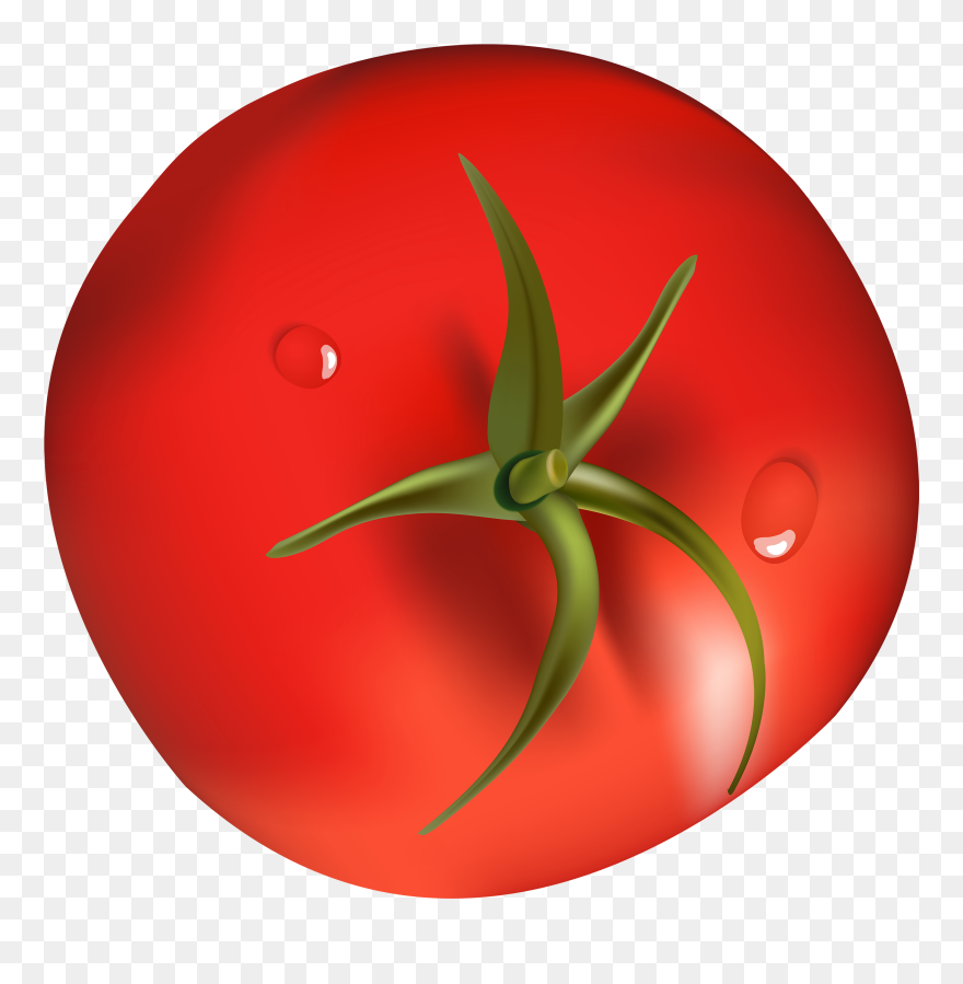 Png Best Web - Museo Nacional De Bellas Artes Clipart