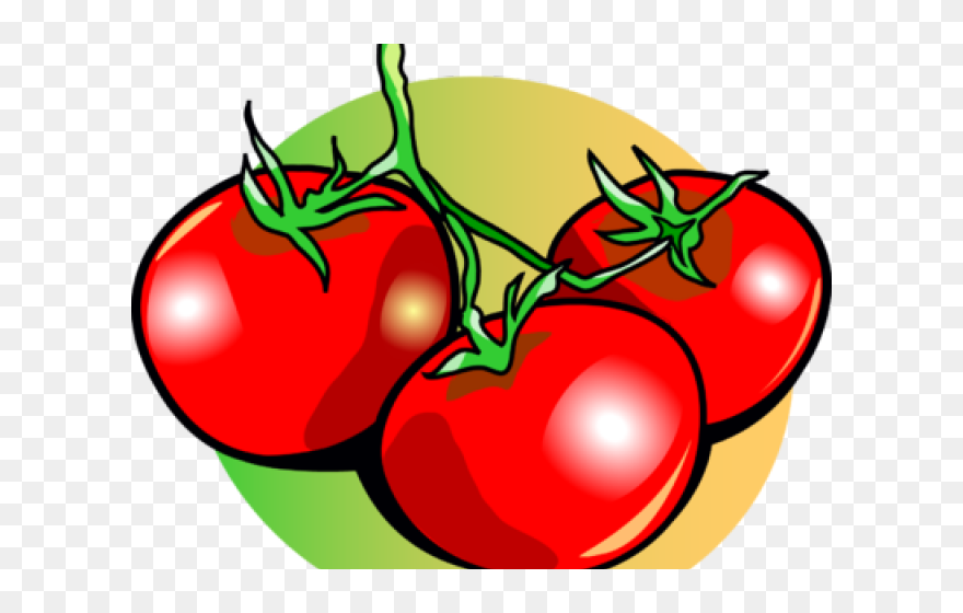 Transparent Tomate Clipart - Tomatoes Clip Art - Png Download