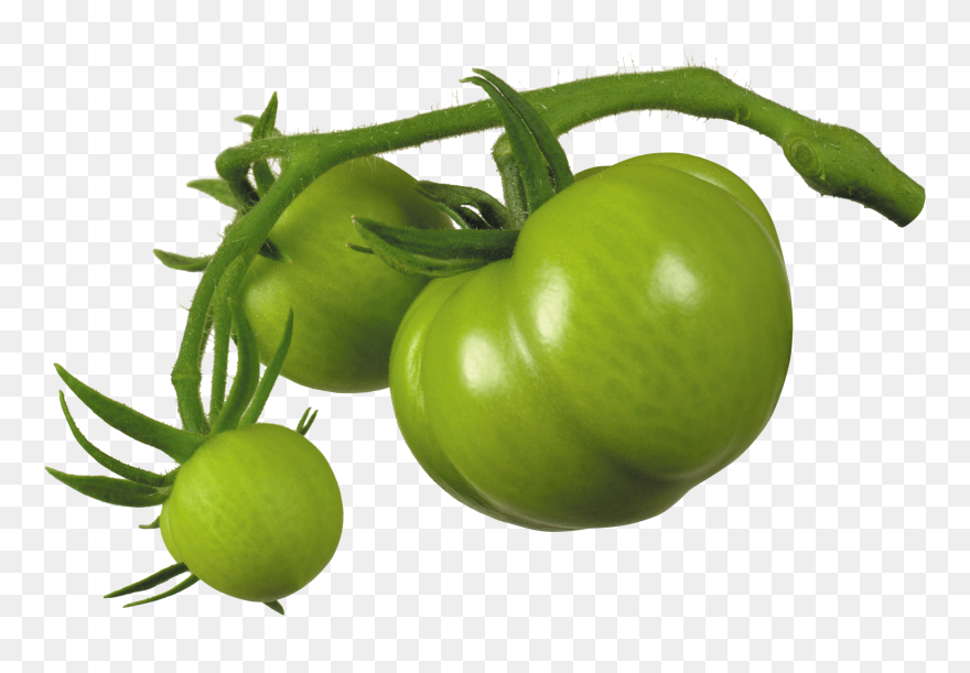 Green Tomato Png Clipart
