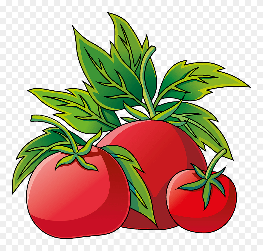Tomato Clipart - Apple - Png Download