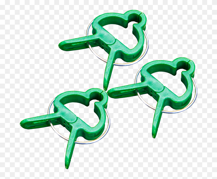 Tomato Clip Trellising - Calligraphy - Png Download