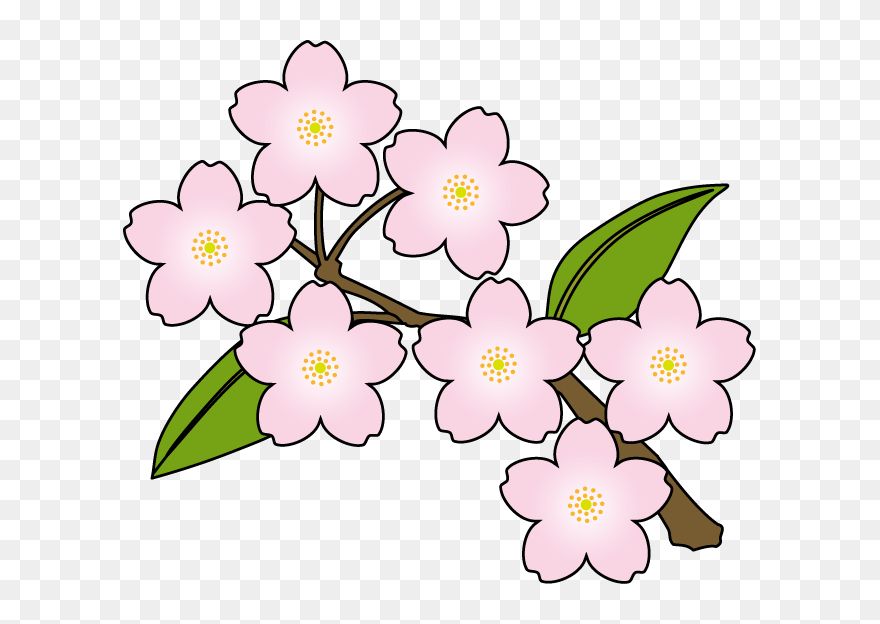 Japanese Flowers Clipart - Sakura Flowers Clip Art - Png Download