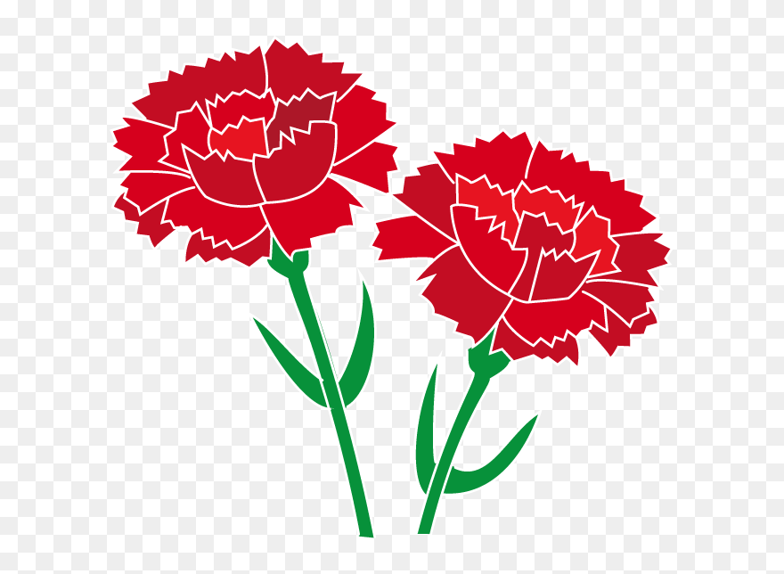 Carnation Red Clip Art - Carnation Clipart - Png Download