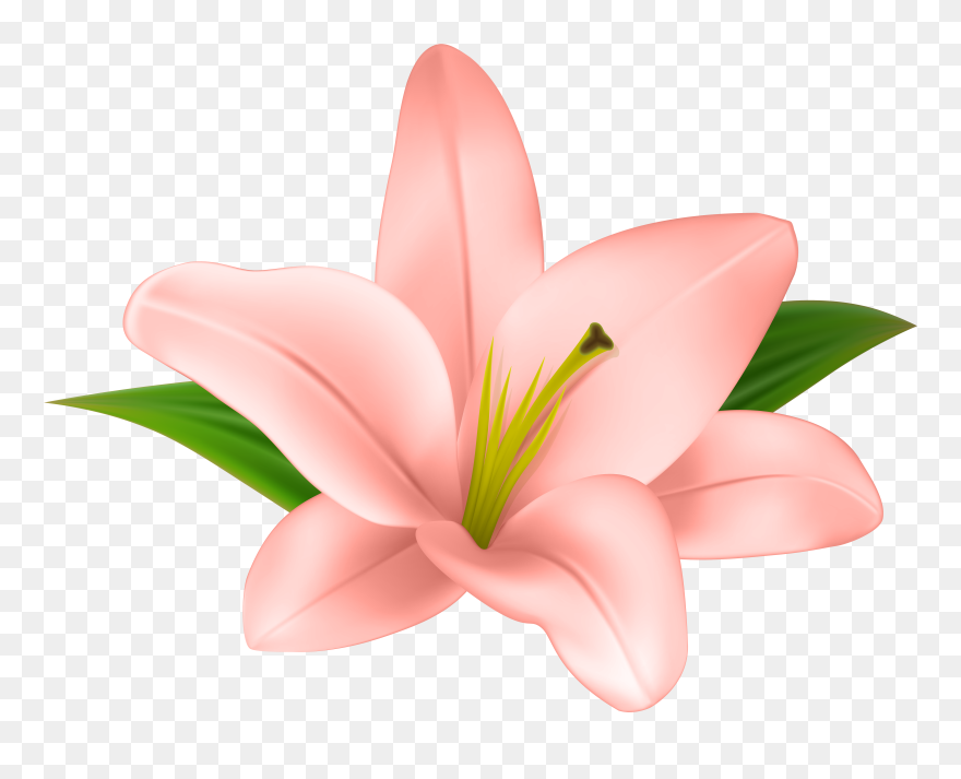 Library Of Altar Flower Clip Library Stock Png Files - Transparent Clip Art Flower