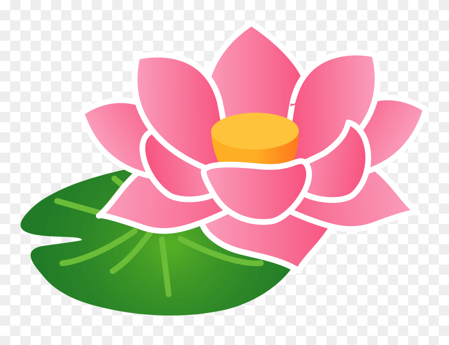 Lotus Flower Clipart - Lotus Family - Png Download