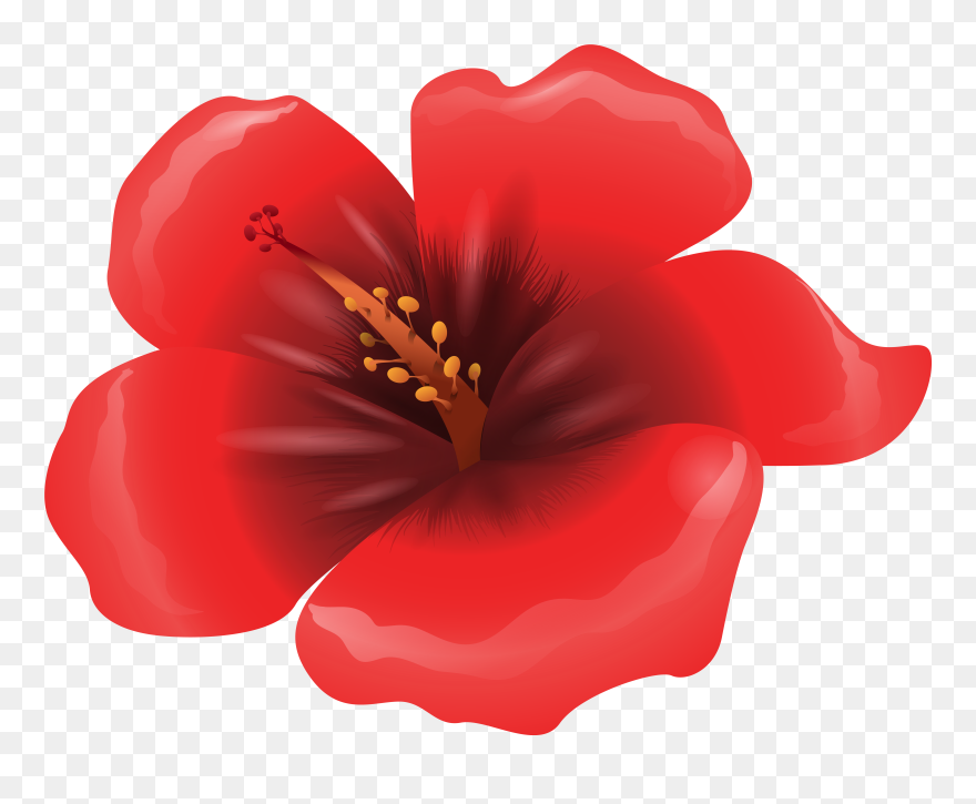 Flower Clipart Red - Red Flowers Clipart - Png Download