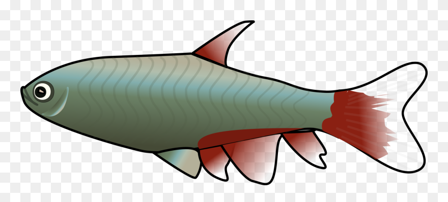 Animated Fish Clipart - Mosquito Fish Clipart - Png Download