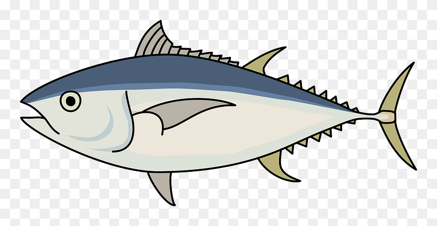 Bigeye Tuna Fish Clipart - Bigeye Tuna Clipart - Png Download
