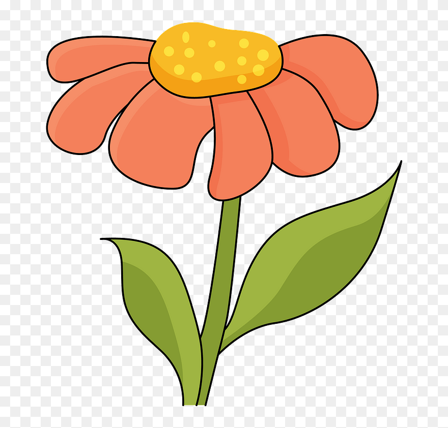 Flower Clipart - Anthurium - Png Download