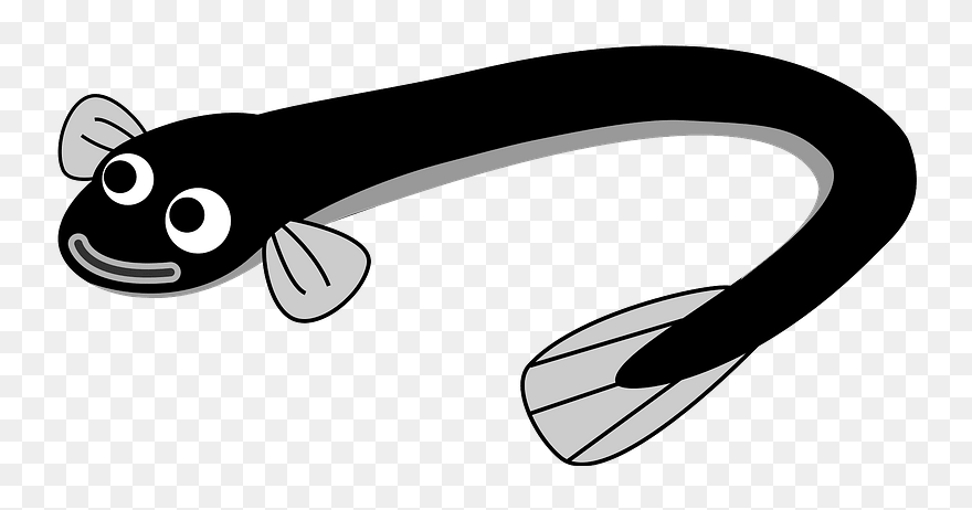 Unagi Eel Fish Clipart - Clipart Black Eel - Png Download