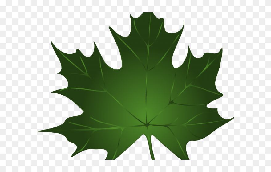 Transparent Fall Leaves And Pumpkins Border Png - Green Maple Leaf Clip Art