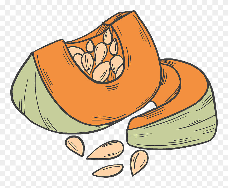 Cut Pumpkin Clipart - Png Download
