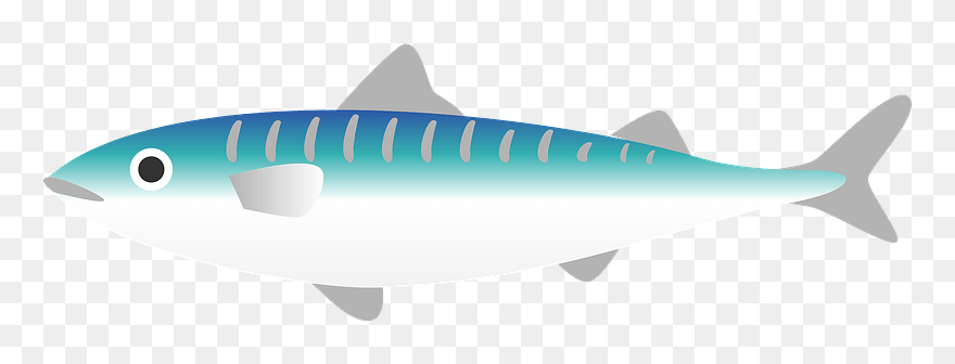 Mackerel Fish Clipart - Tiger Shark - Png Download