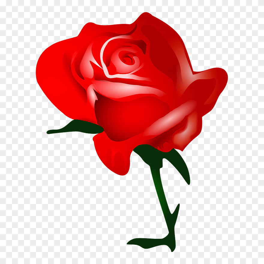 Red Rose Clipart - Cartoon Red Rose - Png Download
