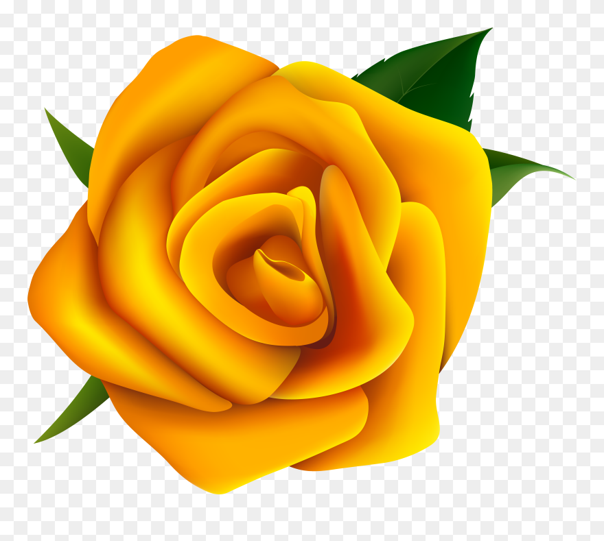 Free Yellow Rose Clipart - Yellow Rose Vector Png Transparent Png