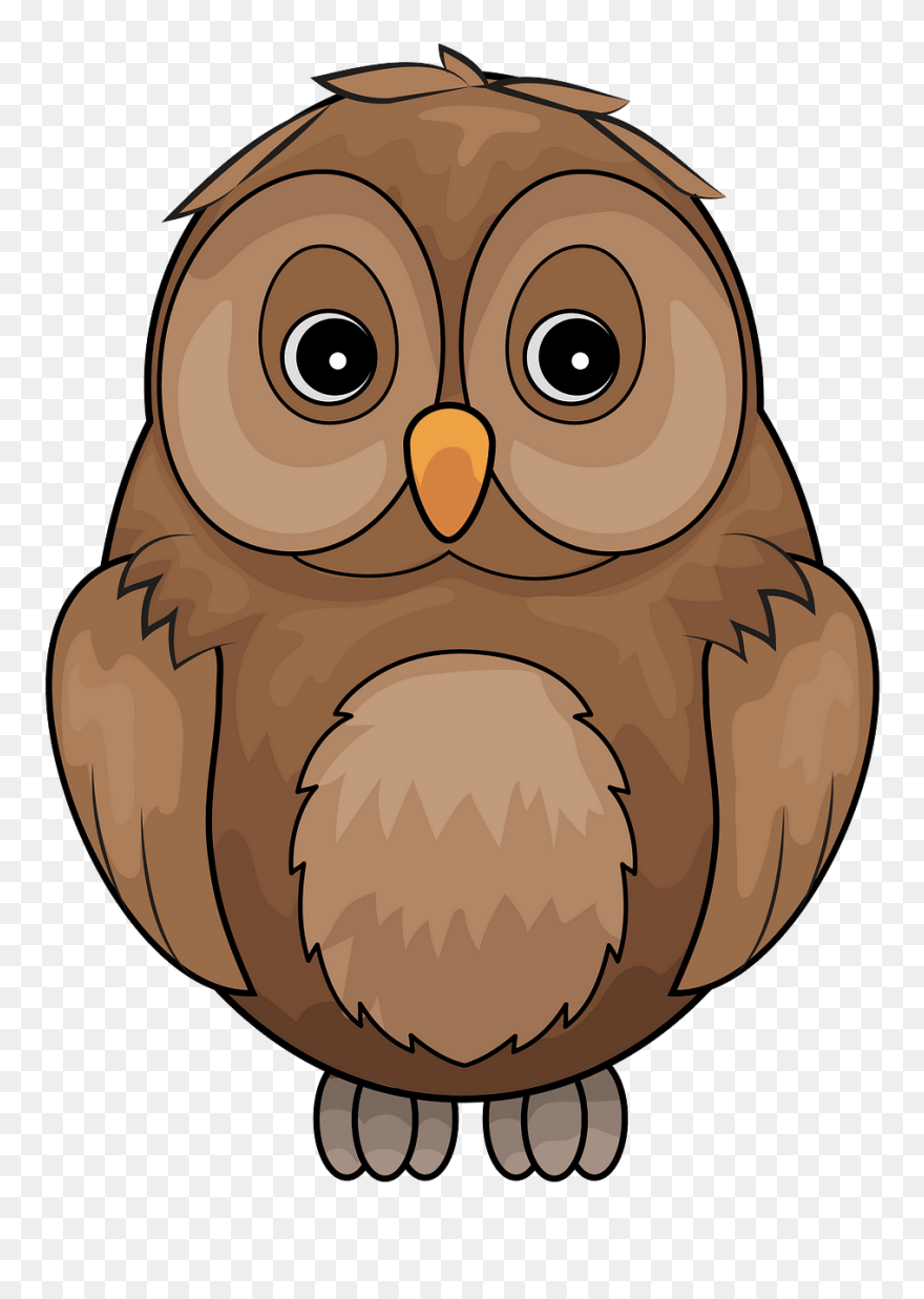 Brown Owl Clipart - Owl Clipart - Png Download
