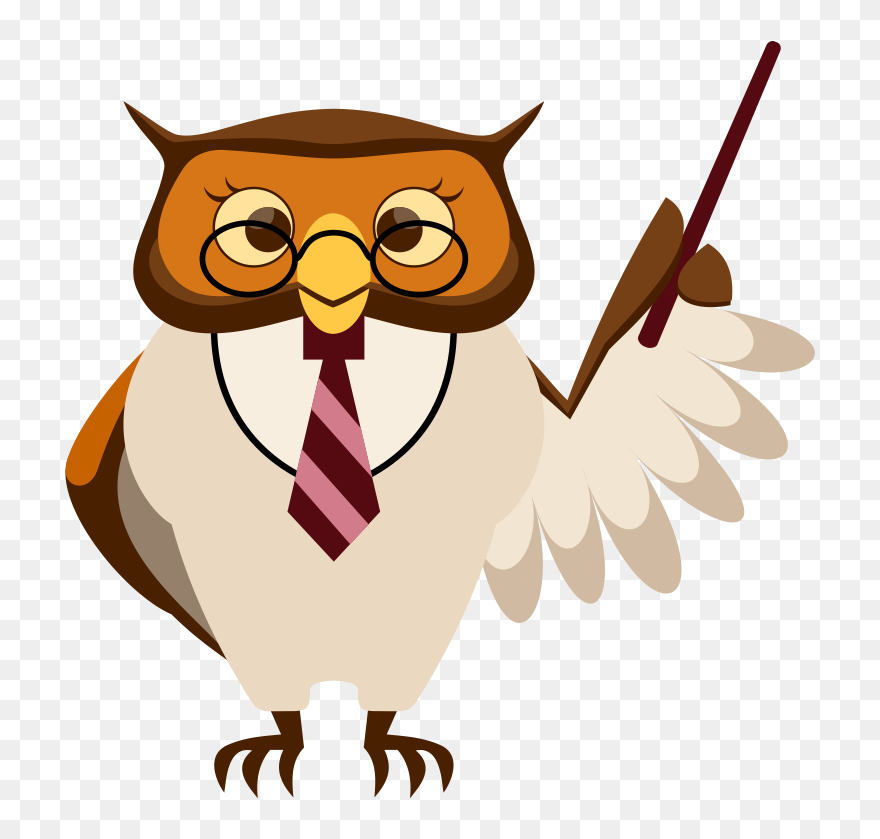 Smart Owl Clip Art - Did You Know Owl - Png Download