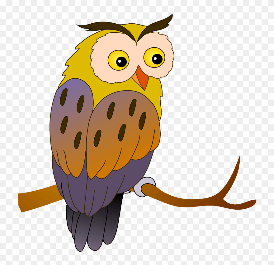 Owl Clipart - Png Download