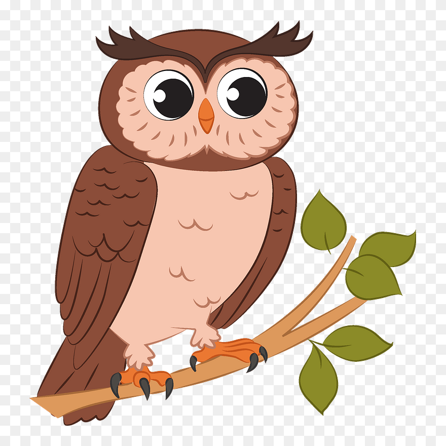 Owl Clipart - Png Download