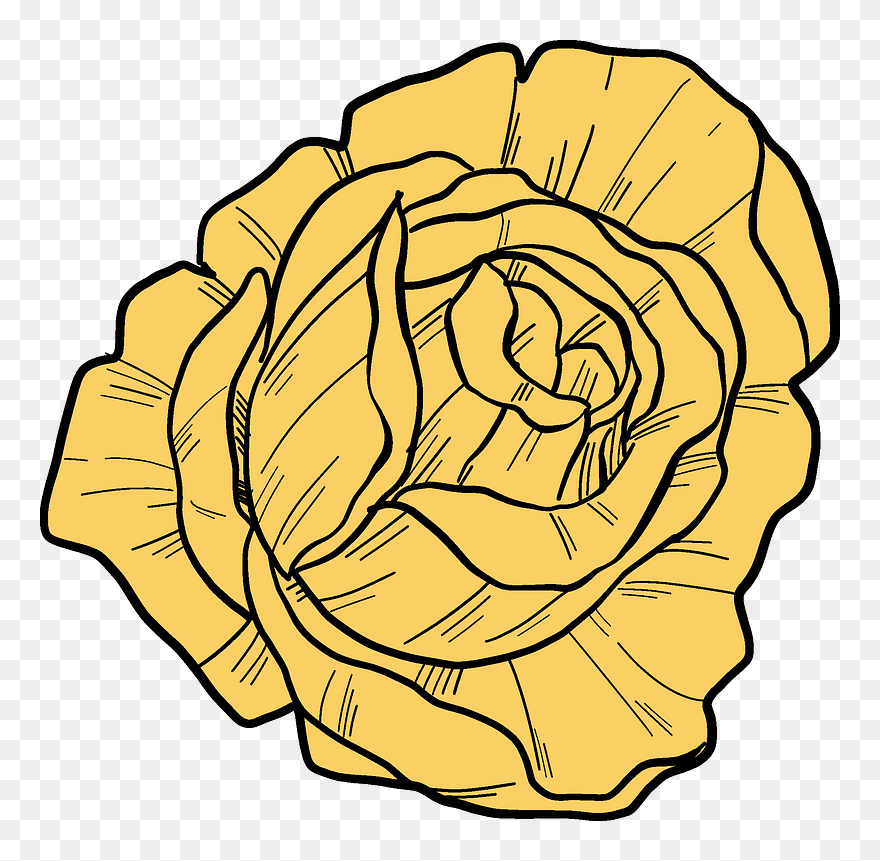 Yellow Rose Clipart - Floribunda - Png Download