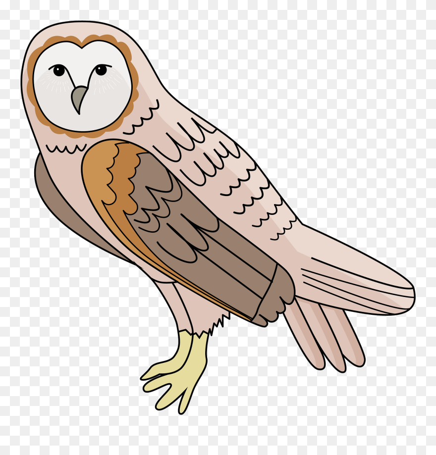 "
 	 Src="https - Free Clipart Barn Owl - Png Download