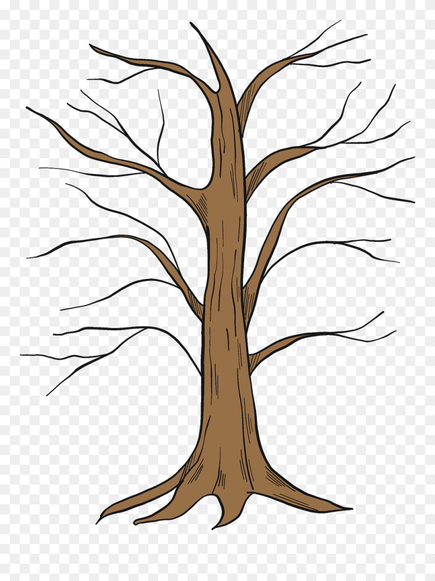 Illustration Clipart