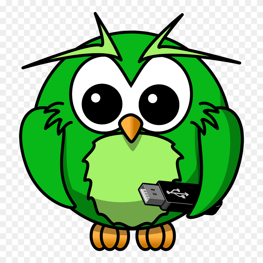 Cartoon Owl Clipart - Owl Cartoon - Png Download