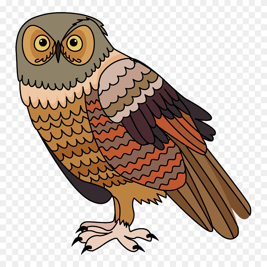 Owl Clipart - Owl - Png Download