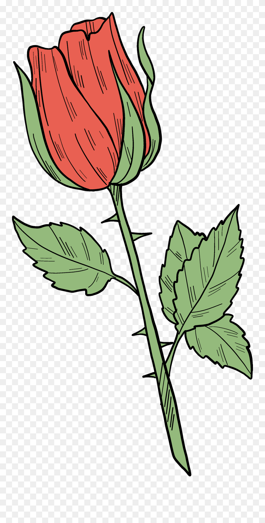 Red Rose Clipart - Rose - Png Download